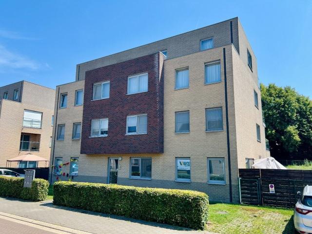 Kot location à Tienen