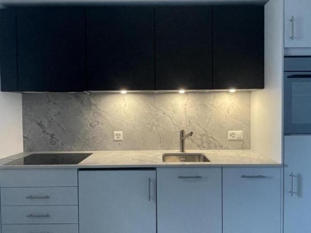 Apartment mieten in Nyon, Waadt