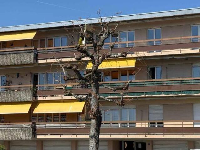 Apartment mieten in Épalinges, District de Lausanne