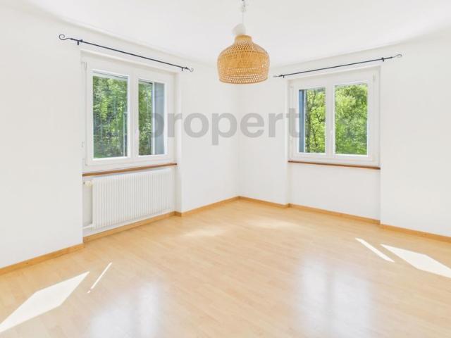 Apartment mieten in Les Brenets, Le Locle