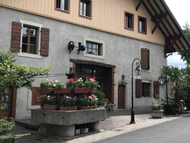 Apartment mieten in Grand-Lancy, Lancy