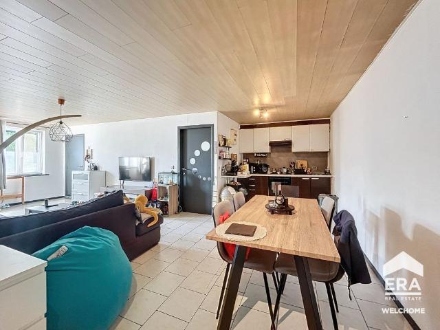 Appartement location à Soignies, Wallonie