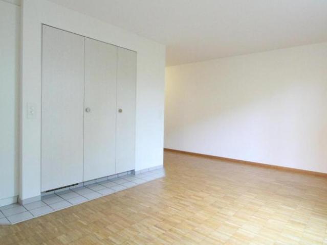 Apartment mieten in Wangen bei Olten, Solothurn