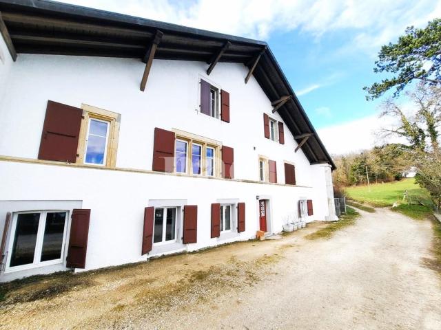 Apartment mieten in Fontainemelon