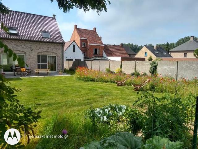 Maison location à Grammont, Oost-Vlaanderen