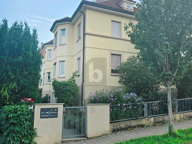 Apartment mieten in Bopser, Stuttgart