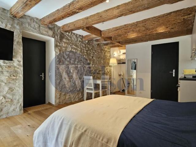Studio mieten in Nyon, District de Nyon