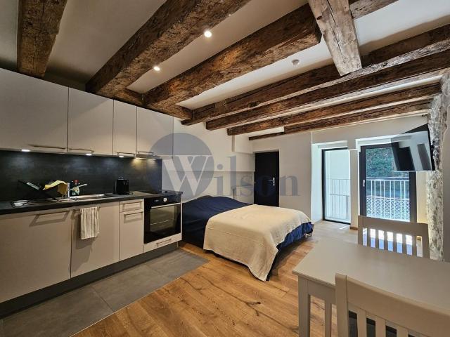 Apartment mieten in Nyon, District de Nyon
