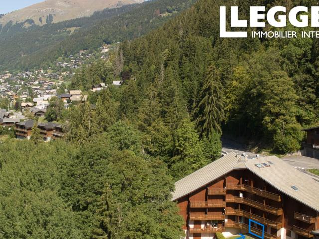 Appartement vente à Thonon-les-Bains, Morzine