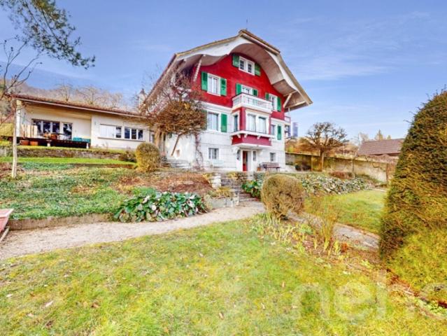Einfamilienhaus kaufen in Niederbipp, Bern