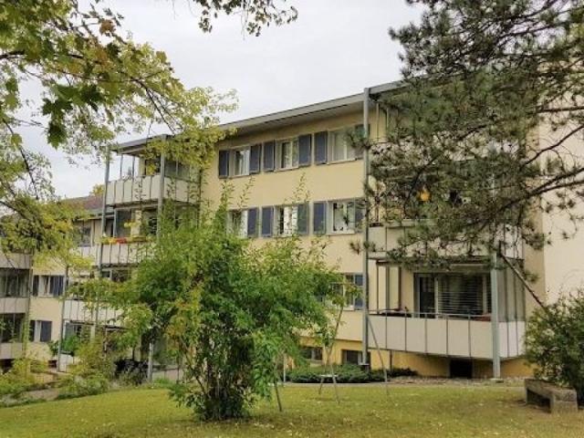 Wohnung mieten in Beringen, Schaffhausen
