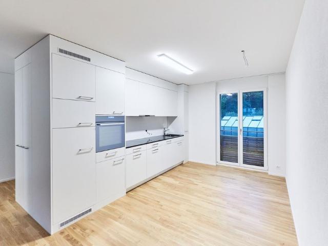 Apartment mieten in Riedikon, Uster