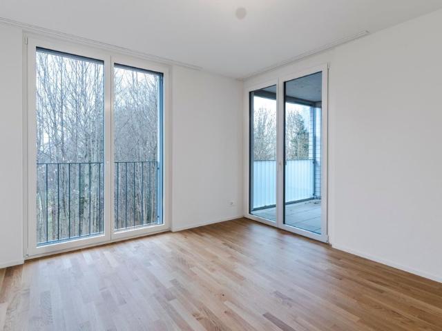 Apartment mieten in Stein AR, Stein (AR)
