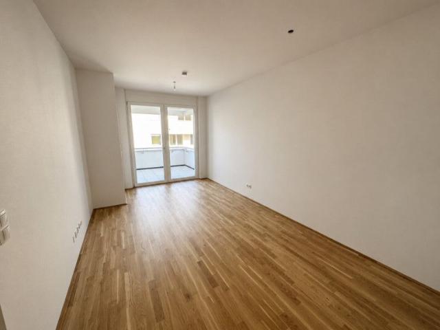 Apartment mieten in Liebenau, Gersdorf-Feistritz