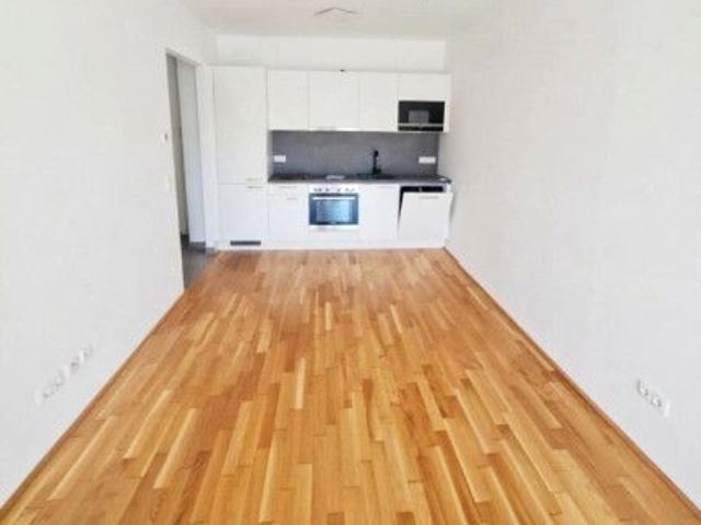Apartment mieten in Katastralgemeinde Murfeld, Graz