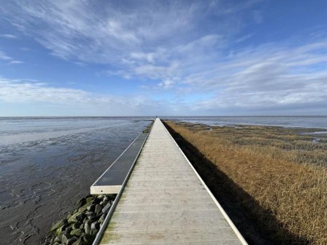 Wohnung kaufen in Friedrichskoog, Schleswig-Holstein