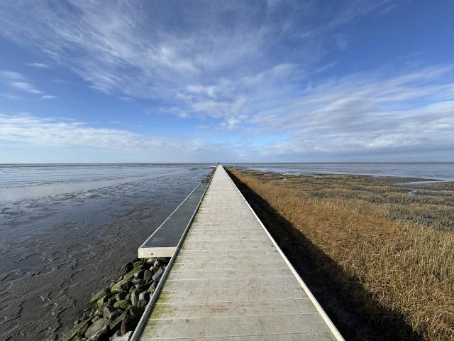 Wohnung kaufen in Friedrichskoog-Spitze, Friedrichskoog