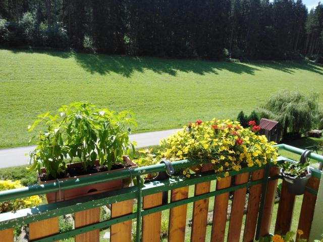 Wohnung kaufen in Judenburg, Steiermark