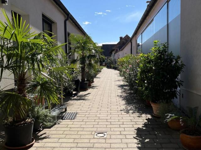 Wohnung mieten in Weiden am See, Bezirk Neusiedl am See