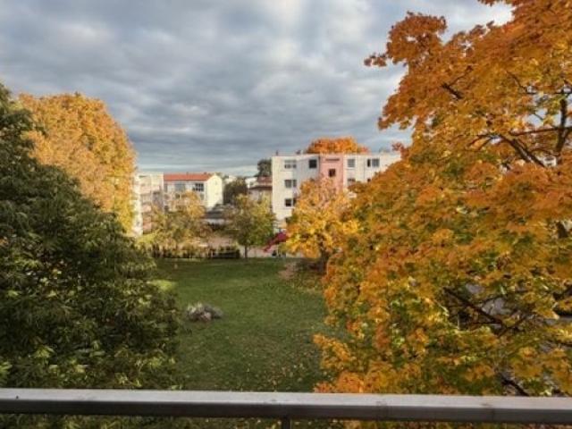 Wohnung kaufen in Wiesbaden, Hessen