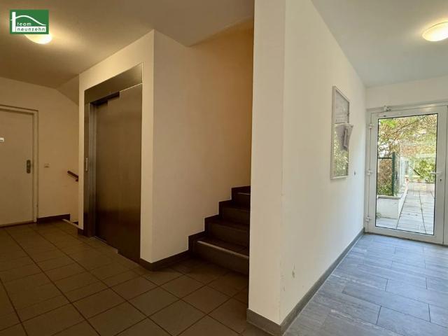Apartment mieten in Währing, Wien
