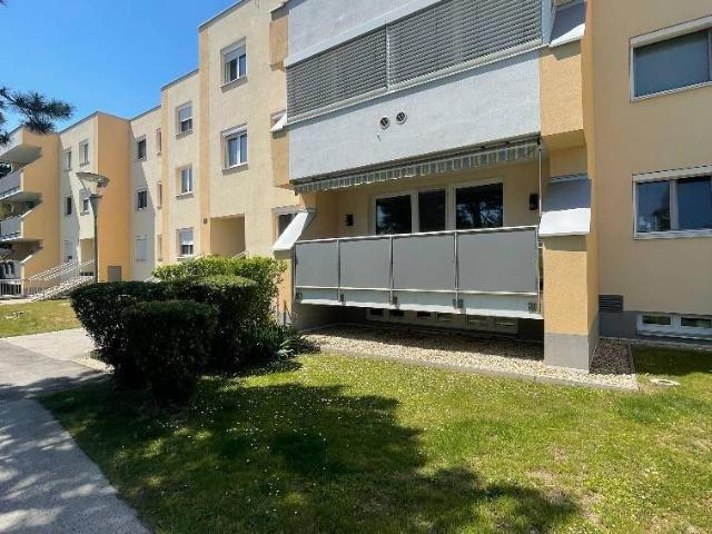 Apartment mieten in Biedermannsdorf, Niederösterreich