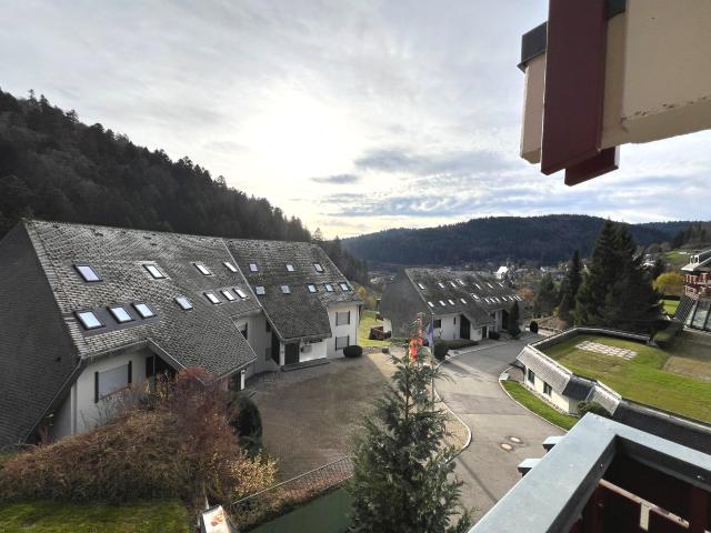 Wohnung kaufen in Todtmoos, Baden-Württemberg