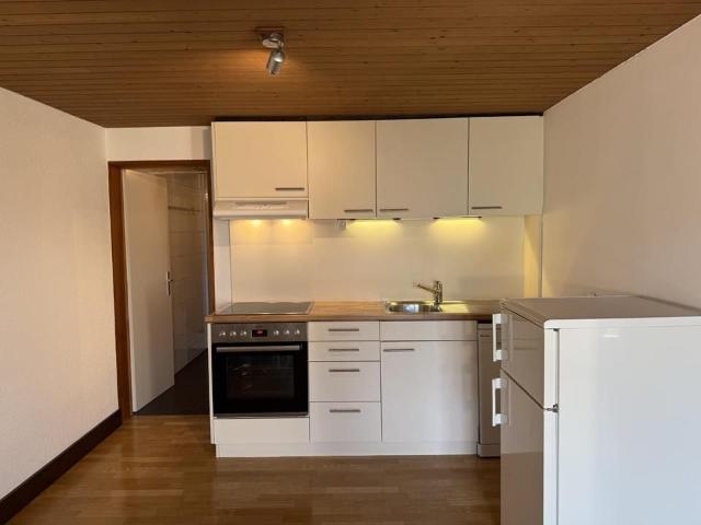 Apartment mieten in Steinerberg, Schwyz