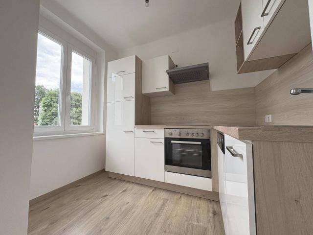 Apartment mieten in Liebenau, Gersdorf-Feistritz
