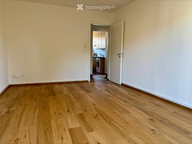 Apartment mieten in Alt-Wiedikon, Zürich