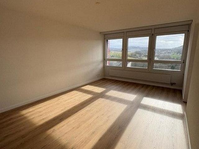 Apartment mieten in Kaiseraugst, Aargau