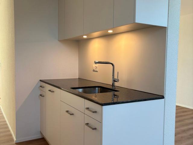 Apartment mieten in Wädenswil, Bezirk Horgen
