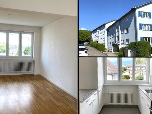 Apartment mieten in Niederrohrdorf, Aargau