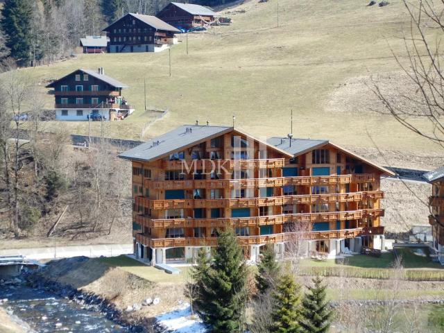 Wohnung kaufen in Val-d'Illiez, Wallis