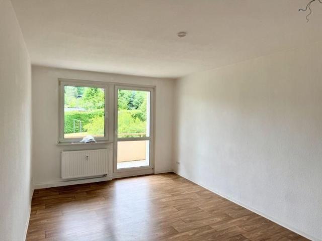 Apartment mieten in Haselbrunn, Plauen