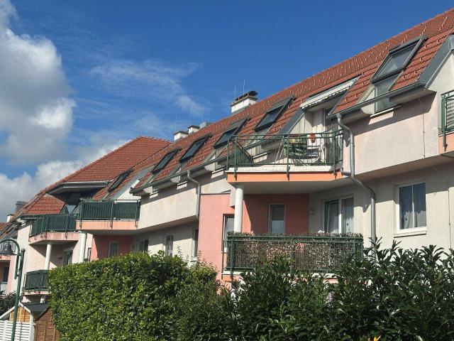 Apartment mieten in Leopoldsdorf im Marchfelde, Niederösterreich