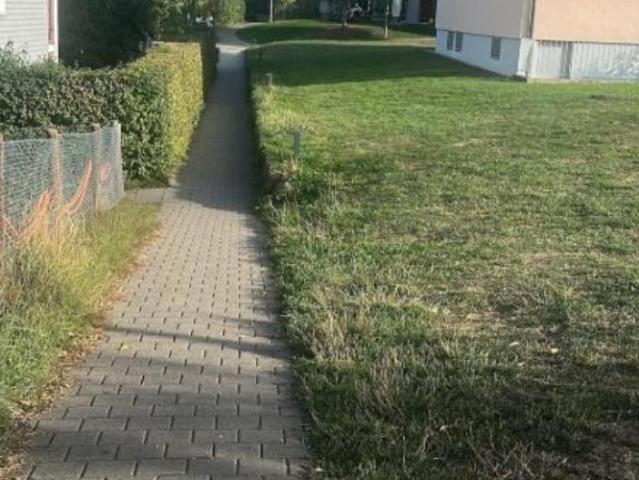 Apartment mieten in Einigen, Zürich
