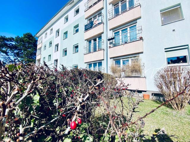 Apartment kaufen in Linz, Oberösterreich