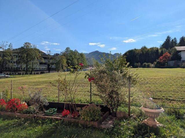 Apartment kaufen in Leube, Hallein