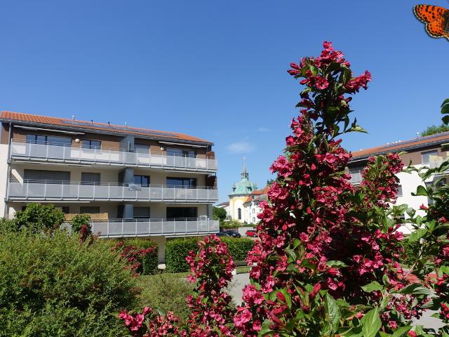 Wohnung mieten in Marsens, Freiburg