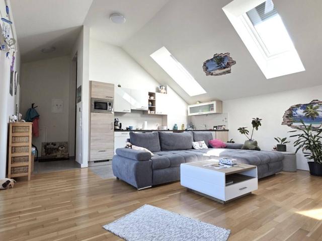 Apartment kaufen in Pöchlarn, Bezirk Melk