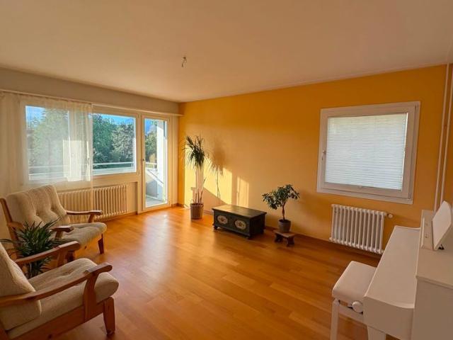 Apartment mieten in Riffig, Emmen