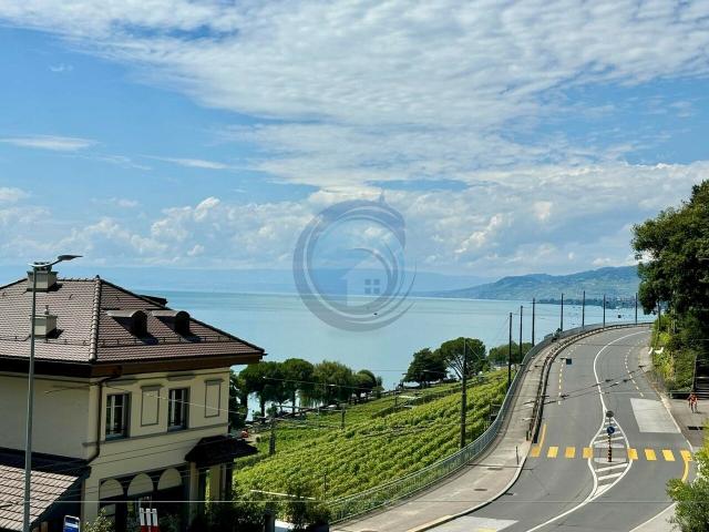 Wohnung kaufen in Veytaux, Waadt