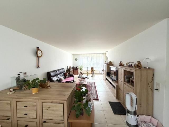 Wohnung kaufen in Wohlen bei Bern, Bern