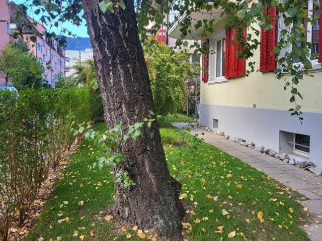 Apartment mieten in Alt-Wiedikon, Zürich