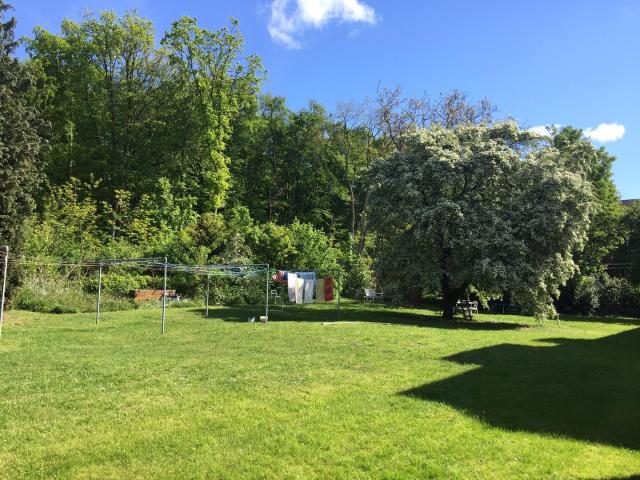 Wohnung mieten in Wolfenbüttel, Niedersachsen