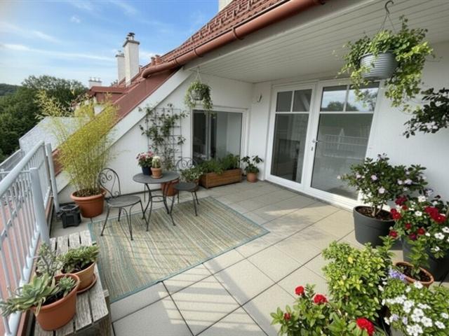 Wohnung kaufen in Mödling, Niederösterreich