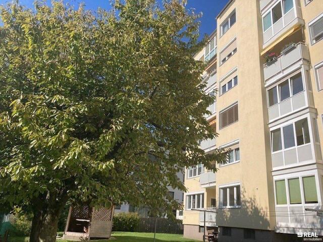 Apartment kaufen in Edling, Spittal an der Drau