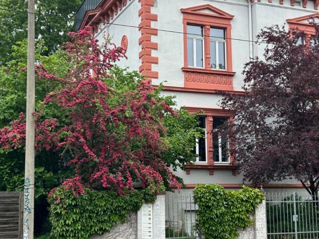 Haus kaufen in Böhlitz-Ehrenberg, Leipzig
