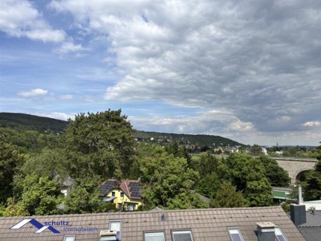 Wohnung kaufen in Baden, Niederösterreich